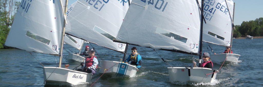 Pokale sammeln beim Opti Cup Scharmützelsee